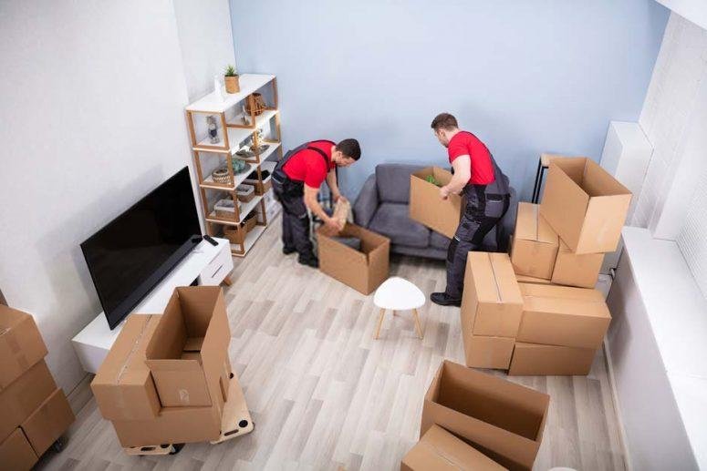 Movers and packers in Jlt